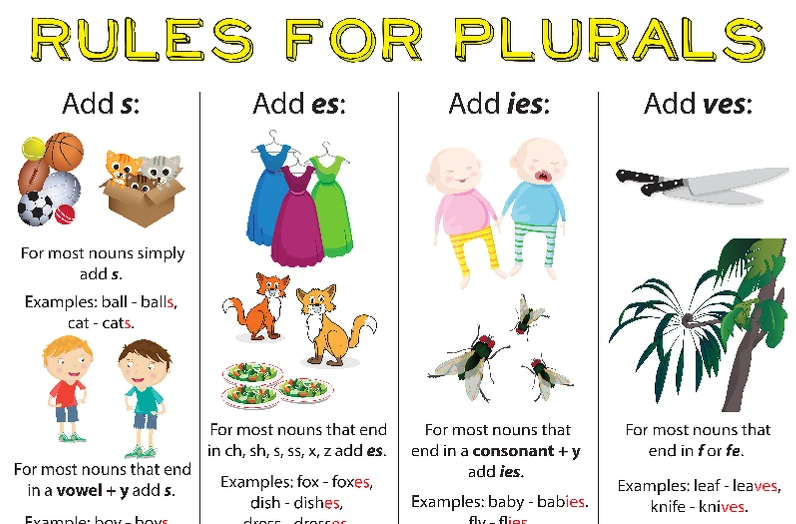 Cách thêm s, es sau danh từ, động từ
